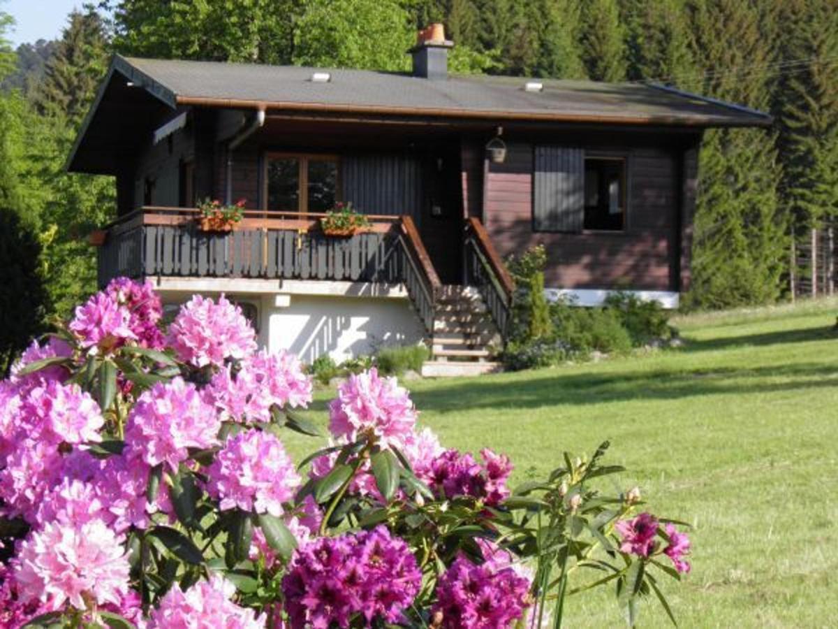 Chalet Renove Proche Du Valtin - Ideal Pour Famille, Randonnees Et Ski, Wifi, Luges Fournies - Fr-1-589-150 Ban-sur-Meurthe-Clefcy Zewnętrze zdjęcie