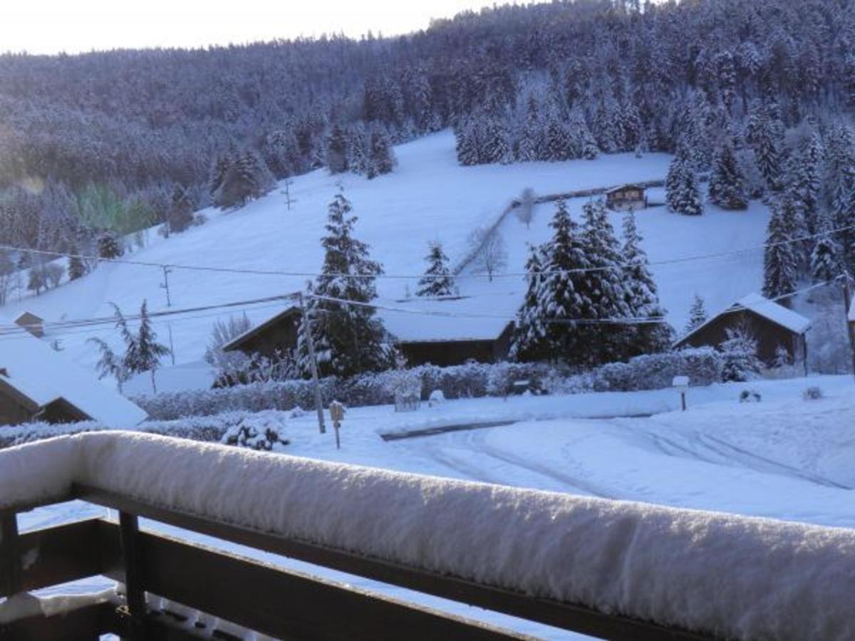 Chalet Renove Proche Du Valtin - Ideal Pour Famille, Randonnees Et Ski, Wifi, Luges Fournies - Fr-1-589-150 Ban-sur-Meurthe-Clefcy Zewnętrze zdjęcie